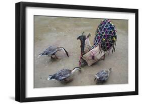 Return to Eden-Rabi Khan-Framed Art Print