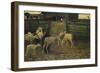 Return to Fold-Giovanni Segantini-Framed Giclee Print