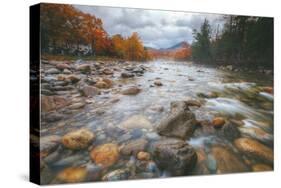 Return to Pemigewasset in Autumn, New Hampshire-Vincent James-Stretched Canvas