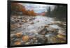 Return to Pemigewasset in Autumn, New Hampshire-Vincent James-Framed Photographic Print