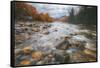 Return to Pemigewasset in Autumn, New Hampshire-Vincent James-Framed Stretched Canvas