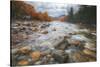 Return to Pemigewasset in Autumn, New Hampshire-Vincent James-Stretched Canvas