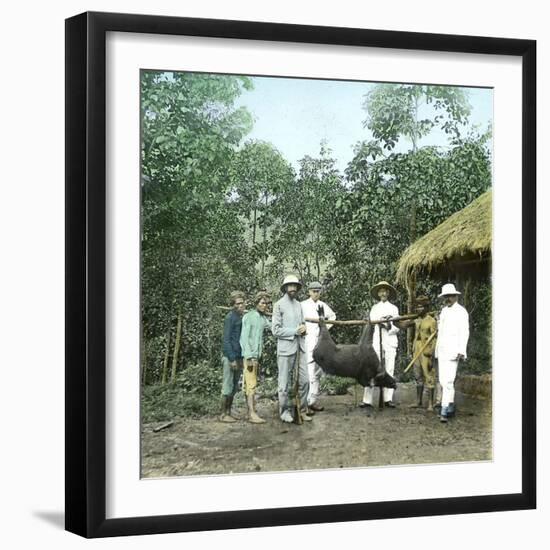 Returning from a Boar Hunt, Island of Java (Indonesia), around 1900-Leon, Levy et Fils-Framed Photographic Print