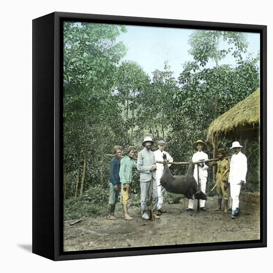 Returning from a Boar Hunt, Island of Java (Indonesia), around 1900-Leon, Levy et Fils-Framed Stretched Canvas