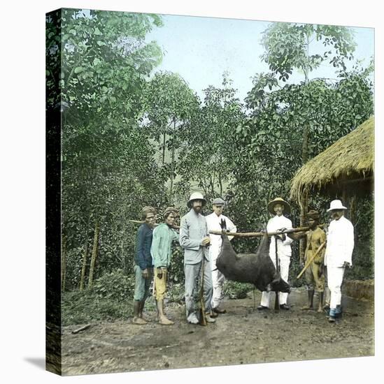 Returning from a Boar Hunt, Island of Java (Indonesia), around 1900-Leon, Levy et Fils-Stretched Canvas