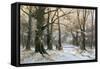 Returning Home Through the Winter Forest-Adolf Kaufmann-Framed Stretched Canvas