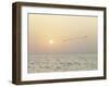 Returning Home-Assaf Frank-Framed Giclee Print