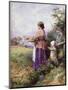 Returning Home-Myles Birket Foster-Mounted Giclee Print