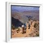 Returning on Horseback, Grand Canyon, UNESCO World Heritage Site, Arizona, USA-Tony Gervis-Framed Photographic Print