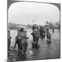 Returning to Camp after a Day's Shoot in the Behar Jungle, India, 1909-Underwood & Underwood-Mounted Giclee Print