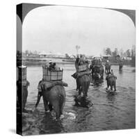 Returning to Camp after a Day's Shoot in the Behar Jungle, India, 1909-Underwood & Underwood-Stretched Canvas