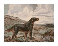 Setter Stance-Reuben Ward Binks-Framed Premium Giclee Print