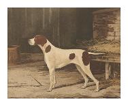 Setter Stance-Reuben Ward Binks-Framed Premium Giclee Print