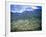 Reunion Island, Indian Ocean-Sylvain Grandadam-Framed Photographic Print