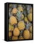 Reunion Island, St-Paul, Seafront Market, Pineapples-Walter Bibikow-Framed Stretched Canvas