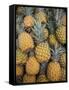 Reunion Island, St-Paul, Seafront Market, Pineapples-Walter Bibikow-Framed Stretched Canvas