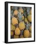 Reunion Island, St-Paul, Seafront Market, Pineapples-Walter Bibikow-Framed Photographic Print