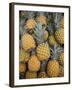 Reunion Island, St-Paul, Seafront Market, Pineapples-Walter Bibikow-Framed Photographic Print