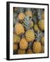 Reunion Island, St-Paul, Seafront Market, Pineapples-Walter Bibikow-Framed Photographic Print