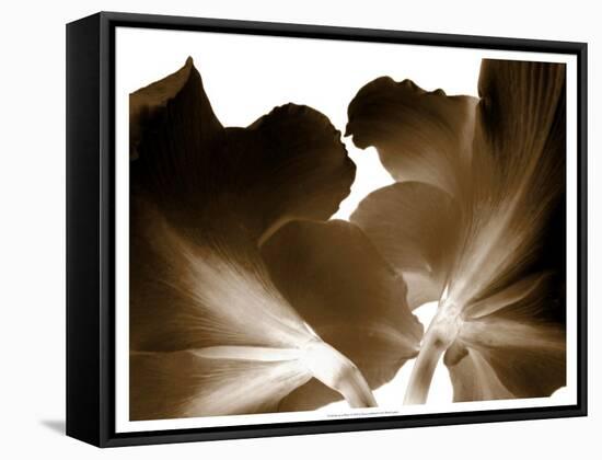 Reveal on White I-null-Framed Stretched Canvas