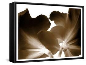 Reveal on White I-null-Framed Stretched Canvas