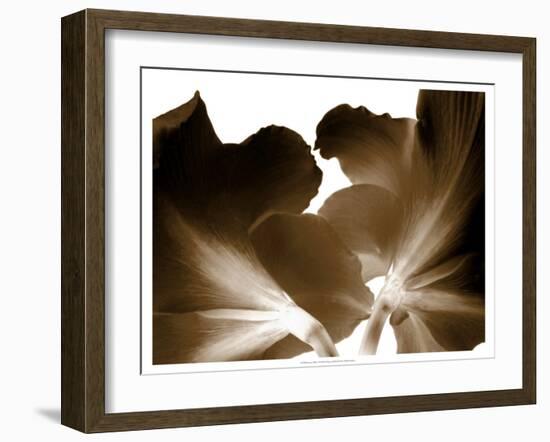 Reveal on White I-null-Framed Art Print