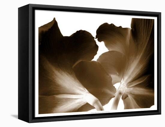 Reveal on White I-null-Framed Stretched Canvas