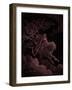 Revelation: Vision of Death, by Gustave Doré - Bible-Gustave Dore-Framed Giclee Print