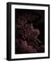 Revelation: Vision of Death, by Gustave Doré - Bible-Gustave Dore-Framed Giclee Print