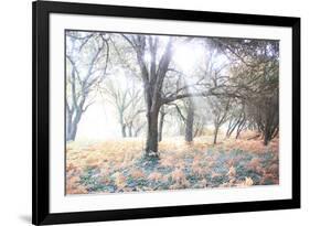 Révélation-Viviane Fedieu Daniel-Framed Photographic Print