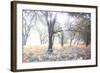 Révélation-Viviane Fedieu Daniel-Framed Photographic Print