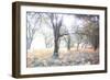 Révélation-Viviane Fedieu Daniel-Framed Photographic Print