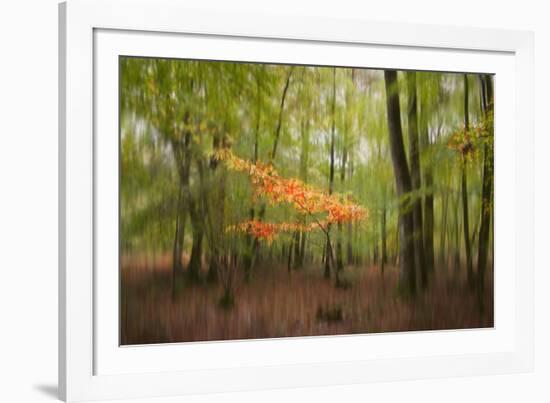 Revelation-Viviane Fedieu Daniel-Framed Photographic Print