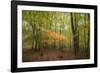 Revelation-Viviane Fedieu Daniel-Framed Photographic Print