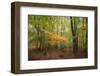 Revelation-Viviane Fedieu Daniel-Framed Photographic Print