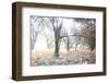 Révélation-Viviane Fedieu Daniel-Framed Photographic Print