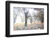 Révélation-Viviane Fedieu Daniel-Framed Photographic Print