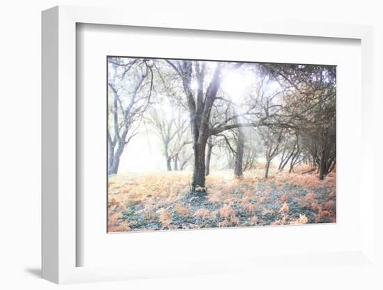 Révélation-Viviane Fedieu Daniel-Framed Photographic Print