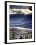 Revelstoke, British Columbia, Canada-Walter Bibikow-Framed Photographic Print