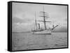 Revenue Cutter Rush, 1901-Asahel Curtis-Framed Stretched Canvas