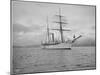 Revenue Cutter Rush, 1901-Asahel Curtis-Mounted Giclee Print