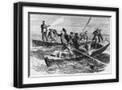 Black Frame