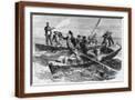 Brown Frame