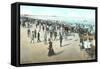 Revere Beach, Massachusetts-null-Framed Stretched Canvas