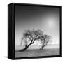 Reverencia-Moises Levy-Framed Stretched Canvas