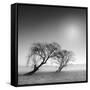 Reverencia-Moises Levy-Framed Stretched Canvas