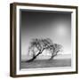 Reverencia-Moises Levy-Framed Premium Photographic Print