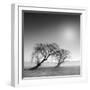 Reverencia-Moises Levy-Framed Premium Photographic Print