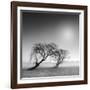 Reverencia-Moises Levy-Framed Photographic Print