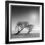 Reverencia-Moises Levy-Framed Photographic Print